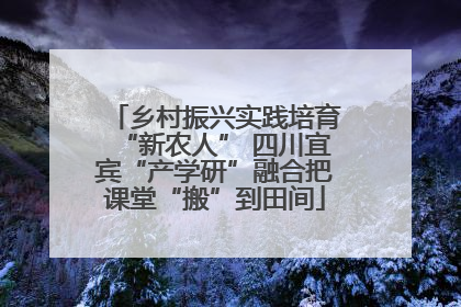 乡村振兴实践培育“新农人” 四川宜宾“产学研”融合把课堂“搬”到田间