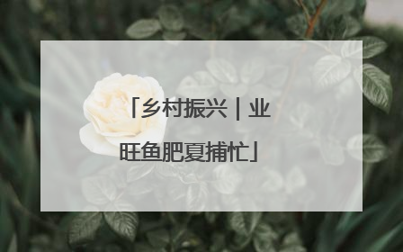 乡村振兴｜业旺鱼肥夏捕忙