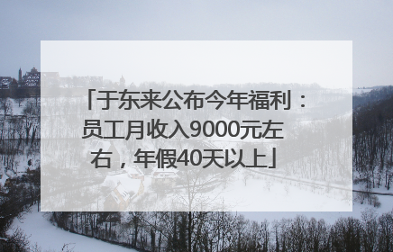 于东来公布今年福利：员工月收入9000元左右，年假40天以上