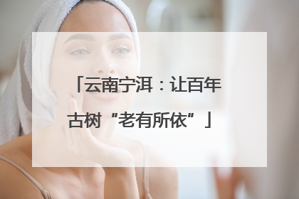 云南宁洱：让百年古树“老有所依”