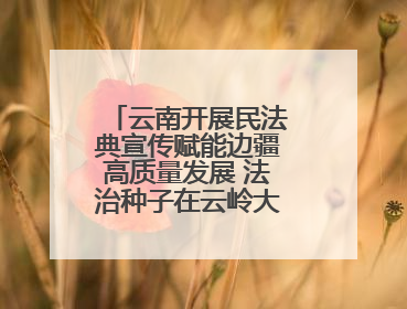 云南开展民法典宣传赋能边疆高质量发展 法治种子在云岭大地生根发芽