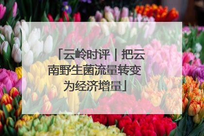 云岭时评｜把云南野生菌流量转变为经济增量
