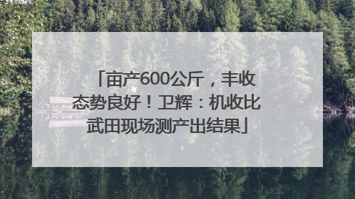 亩产600公斤，丰收态势良好！卫辉：机收比武田现场测产出结果