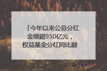 今年以来公募分红金额超950亿元，权益基金分红同比翻倍｜招财猫