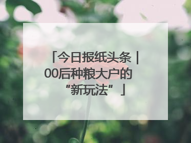今日报纸头条｜00后种粮大户的“新玩法”