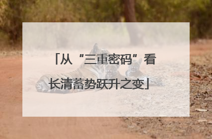 从“三重密码”看长清蓄势跃升之变
