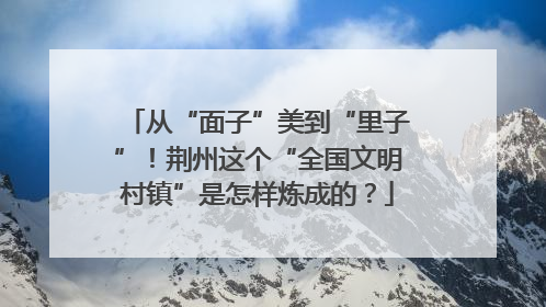 从“面子”美到“里子”！荆州这个“全国文明村镇”是怎样炼成的？