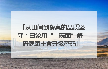 从田间到餐桌的品质坚守：白象用“一碗面”解码健康主食升级密码