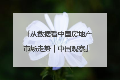 从数据看中国房地产市场走势｜中国观察