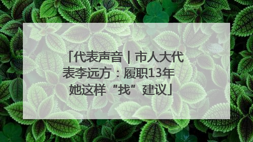 代表声音｜市人大代表李远方：履职13年 她这样“找”建议