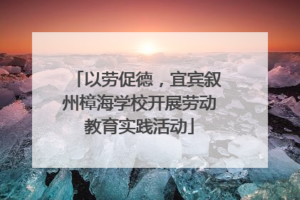 以劳促德，宜宾叙州樟海学校开展劳动教育实践活动
