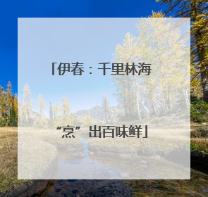 伊春：千里林海“烹”出百味鲜