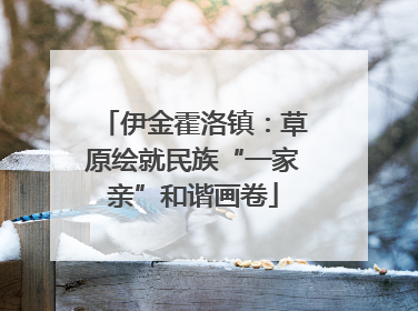 伊金霍洛镇：草原绘就民族“一家亲”和谐画卷