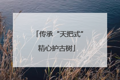 传承“天把式” 精心护古树
