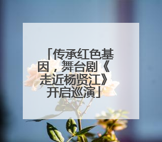 传承红色基因，舞台剧《走近杨贤江》开启巡演