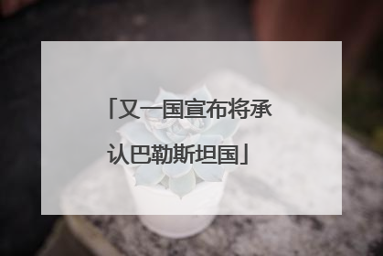 又一国宣布将承认巴勒斯坦国