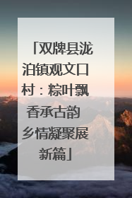 双牌县泷泊镇观文口村：粽叶飘香承古韵 乡情凝聚展新篇
