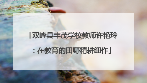 双峰县丰茂学校教师许艳玲：在教育的田野精耕细作