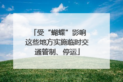 受“蝴蝶”影响 这些地方实施临时交通管制、停运