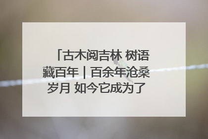 古木阅吉林 树语藏百年｜百余年沧桑岁月 如今它成为了“镇园之宝”