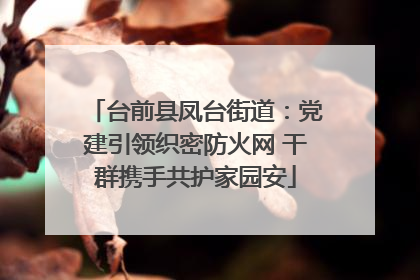 台前县凤台街道：党建引领织密防火网 干群携手共护家园安