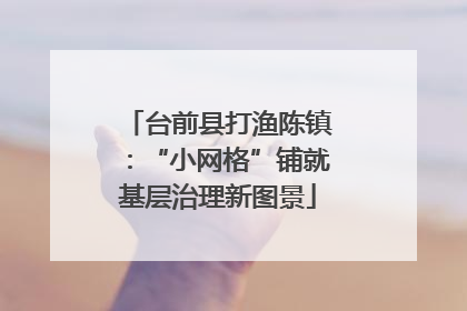 台前县打渔陈镇：“小网格”铺就基层治理新图景