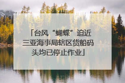 台风“蝴蝶”迫近 三亚海事局辖区货船码头均已停止作业