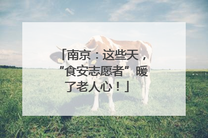 南京：这些天，“食安志愿者”暖了老人心！