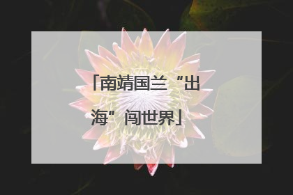 南靖国兰“出海”闯世界