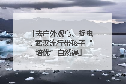 去户外观鸟、捉虫，武汉流行带孩子“培优”自然课