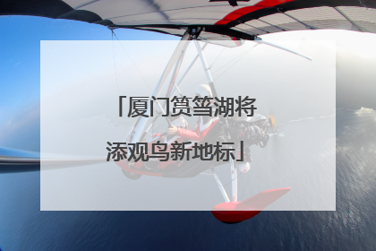 厦门筼筜湖将添观鸟新地标