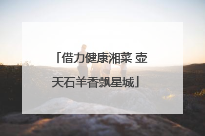 借力健康湘菜 壶天石羊香飘星城