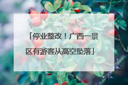 停业整改！广西一景区有游客从高空坠落
