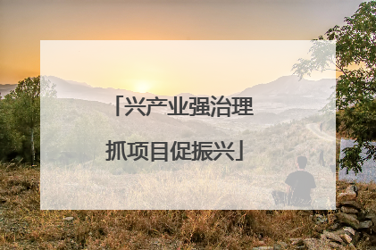 兴产业强治理 抓项目促振兴
