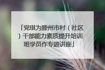 党琪为滕州市村（社区）干部能力素质提升培训班学员作专题讲座