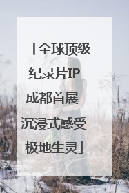 全球顶级纪录片IP成都首展 沉浸式感受极地生灵
