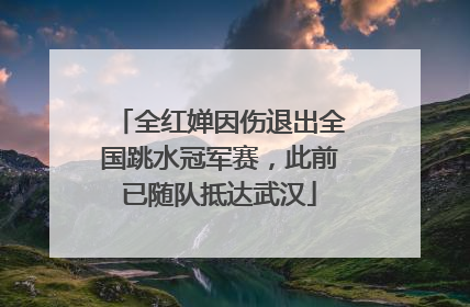 全红婵因伤退出全国跳水冠军赛，此前已随队抵达武汉
