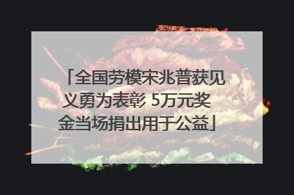 全国劳模宋兆普获见义勇为表彰 5万元奖金当场捐出用于公益