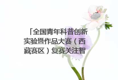 全国青年科普创新实验暨作品大赛（西藏赛区）复赛关注智慧环保等主题