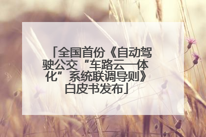 全国首份《自动驾驶公交“车路云一体化”系统联调导则》白皮书发布