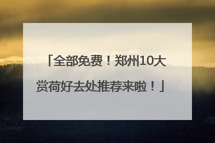 全部免费！郑州10大赏荷好去处推荐来啦！
