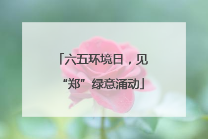 六五环境日，见“郑”绿意涌动