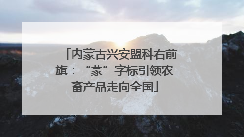 内蒙古兴安盟科右前旗：“蒙”字标引领农畜产品走向全国