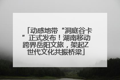 动感地带“洞庭谷卡”正式发布！湖南移动跨界岳阳文旅，架起Z世代文化共振桥梁