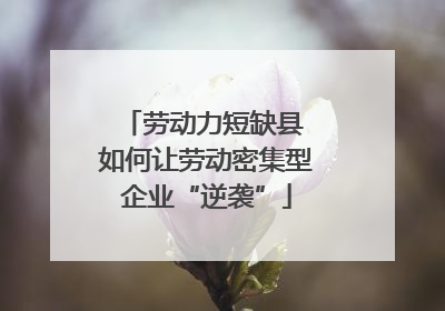 劳动力短缺县 如何让劳动密集型企业“逆袭”