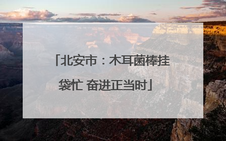 北安市：木耳菌棒挂袋忙 奋进正当时