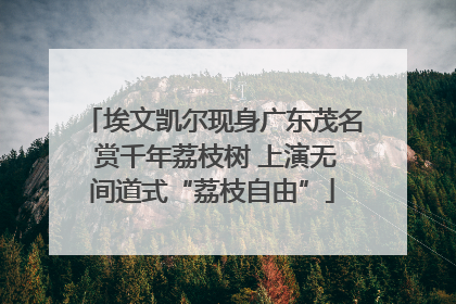 埃文凯尔现身广东茂名 赏千年荔枝树 上演无间道式“荔枝自由”