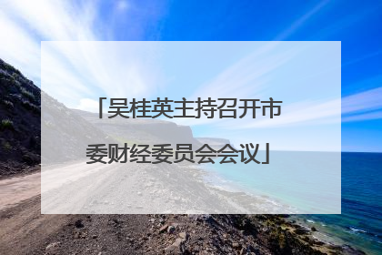 吴桂英主持召开市委财经委员会会议