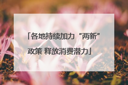 各地持续加力“两新”政策 释放消费潜力