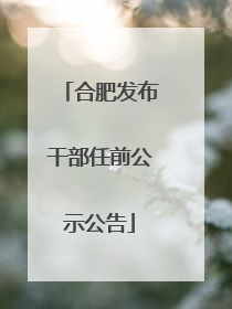 合肥发布干部任前公示公告